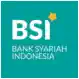 bsi logo