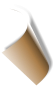 PERUSAHAAN