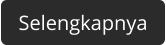 selengkapnya
