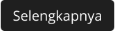 selengkapnya
