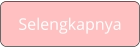 selengkapnya